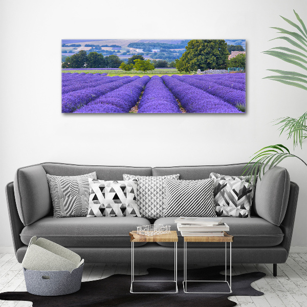 Cuadro canvas moderno de gran formato horizontal campo de lavanda