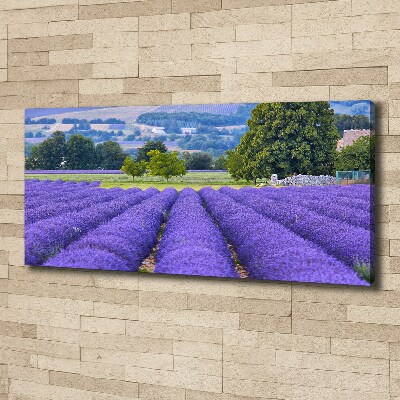 Cuadro canvas moderno de gran formato horizontal campo de lavanda