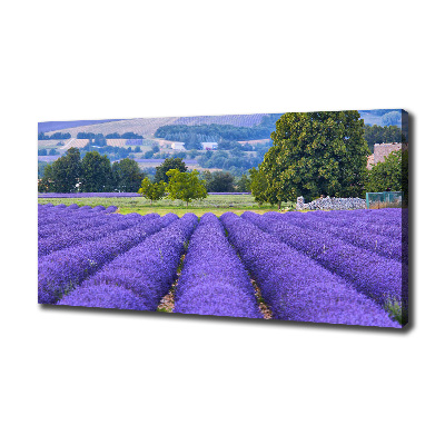Cuadro canvas moderno de gran formato horizontal campo de lavanda