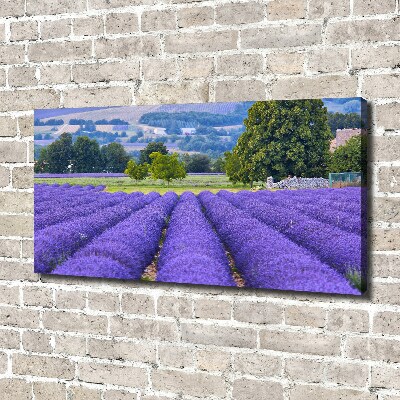 Cuadro canvas moderno de gran formato horizontal campo de lavanda