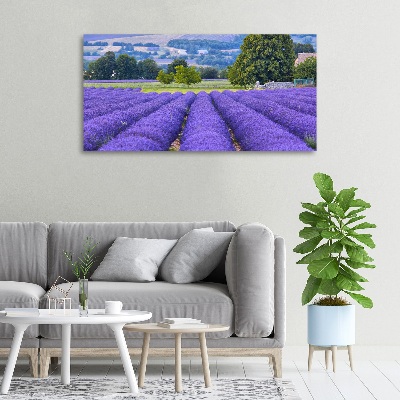 Cuadro canvas moderno de gran formato horizontal campo de lavanda