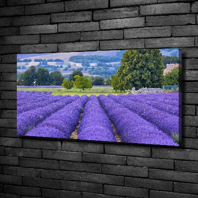 Cuadro canvas moderno de gran formato horizontal campo de lavanda