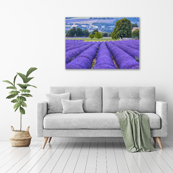 Cuadro canvas moderno de gran formato horizontal campo de lavanda