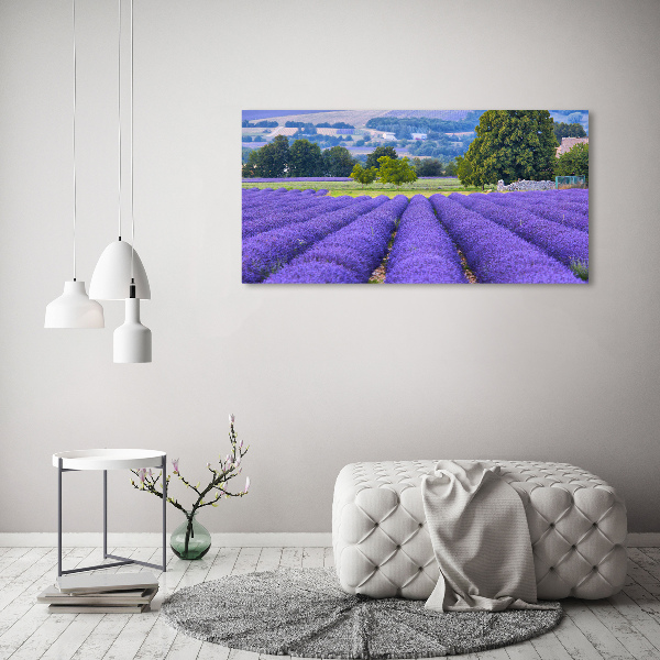 Cuadro canvas moderno de gran formato horizontal campo de lavanda