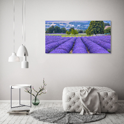 Cuadro canvas moderno de gran formato horizontal campo de lavanda