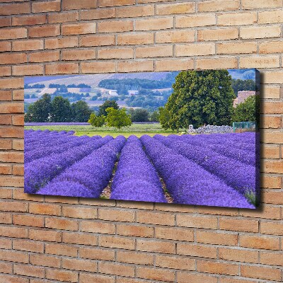 Cuadro canvas moderno de gran formato horizontal campo de lavanda