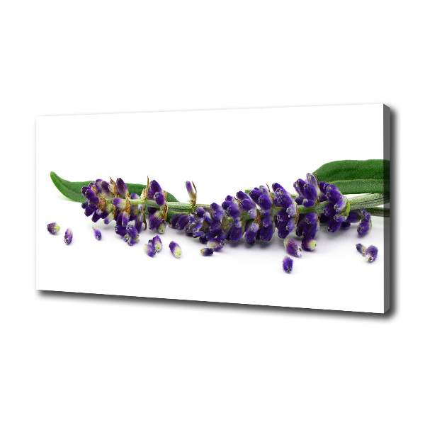 Cuadro canvas moderno de gran formato horizontal Lavanda