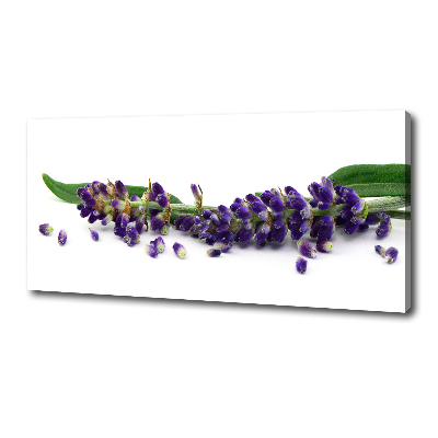 Cuadro canvas moderno de gran formato horizontal Lavanda