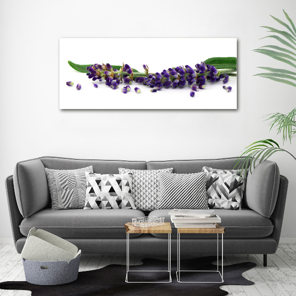 Cuadro canvas moderno de gran formato horizontal Lavanda