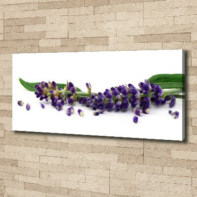 Cuadro canvas moderno de gran formato horizontal Lavanda