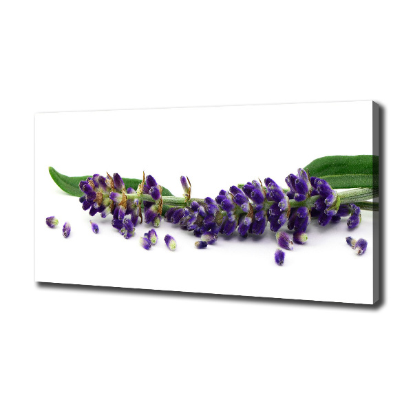 Cuadro canvas moderno de gran formato horizontal Lavanda