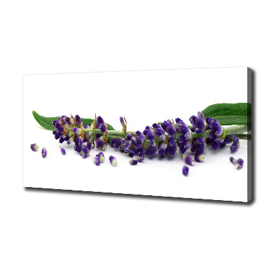 Cuadro canvas moderno de gran formato horizontal Lavanda