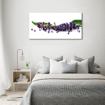 Cuadro canvas moderno de gran formato horizontal Lavanda