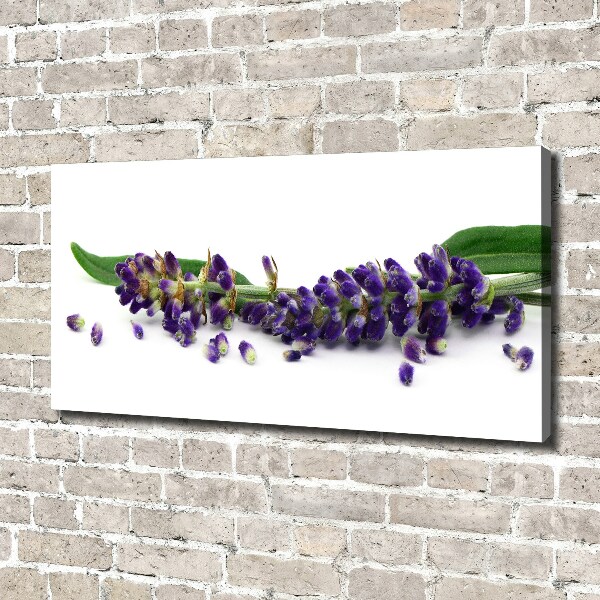 Cuadro canvas moderno de gran formato horizontal Lavanda