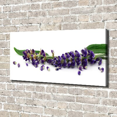 Cuadro canvas moderno de gran formato horizontal Lavanda