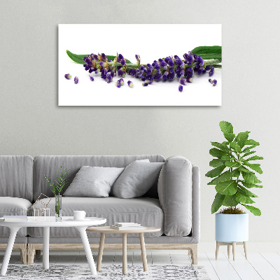 Cuadro canvas moderno de gran formato horizontal Lavanda