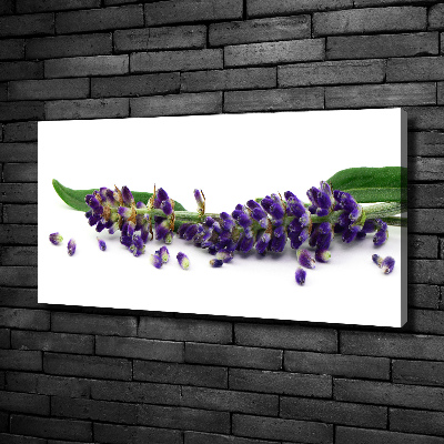 Cuadro canvas moderno de gran formato horizontal Lavanda