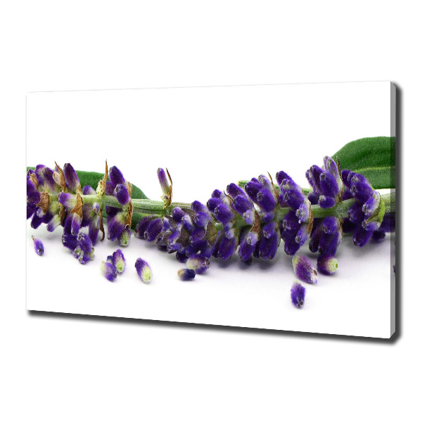 Cuadro canvas moderno de gran formato horizontal Lavanda