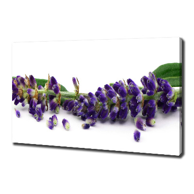 Cuadro canvas moderno de gran formato horizontal Lavanda