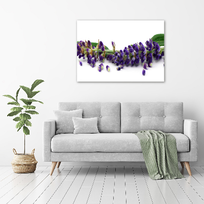 Cuadro canvas moderno de gran formato horizontal Lavanda