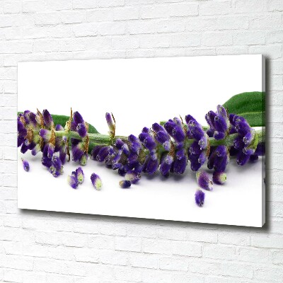 Cuadro canvas moderno de gran formato horizontal Lavanda