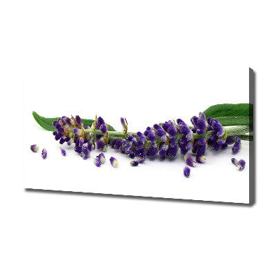 Cuadro canvas moderno de gran formato horizontal Lavanda