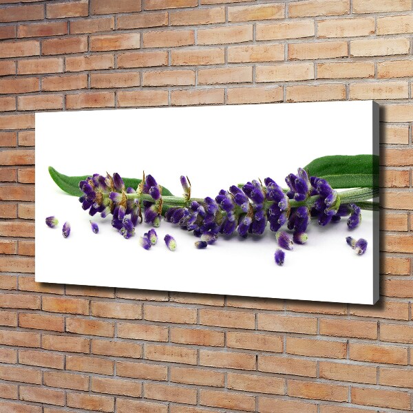 Cuadro canvas moderno de gran formato horizontal Lavanda
