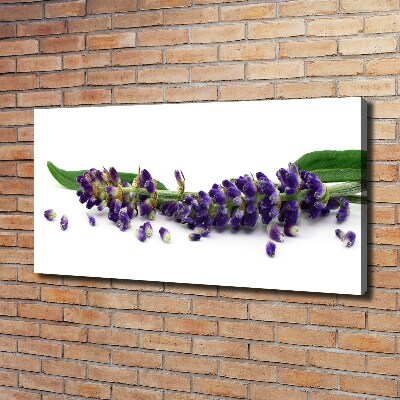 Cuadro canvas moderno de gran formato horizontal Lavanda