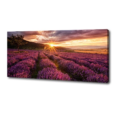 Fotocuadro en lienzo de alta calidad horizontal campo de lavanda