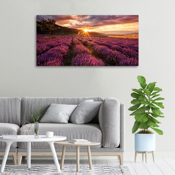 Fotocuadro en lienzo de alta calidad horizontal campo de lavanda