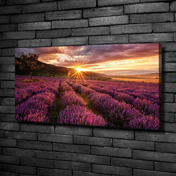 Fotocuadro en lienzo de alta calidad horizontal campo de lavanda