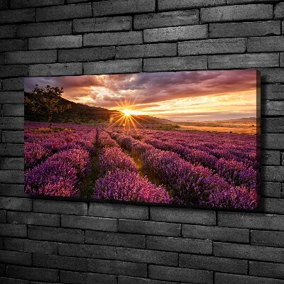 Fotocuadro en lienzo de alta calidad horizontal campo de lavanda