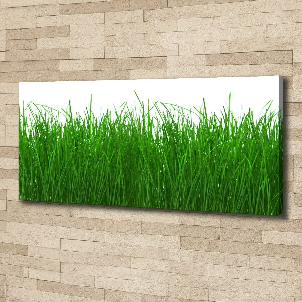 Cuadro canvas con impresión uv duradera horizontal Césped