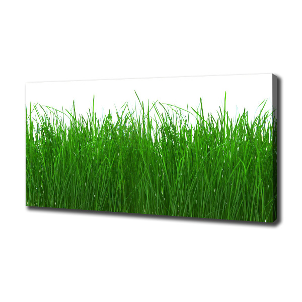 Cuadro canvas con impresión uv duradera horizontal Césped