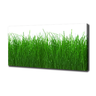 Cuadro canvas con impresión uv duradera horizontal Césped