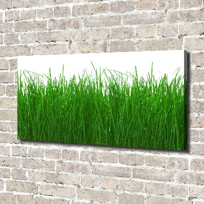 Cuadro canvas con impresión uv duradera horizontal Césped