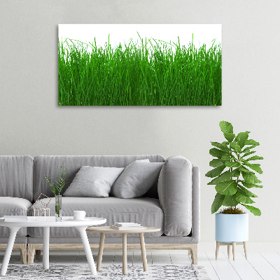 Cuadro canvas con impresión uv duradera horizontal Césped