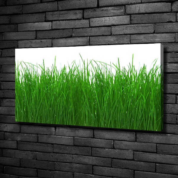 Cuadro canvas con impresión uv duradera horizontal Césped