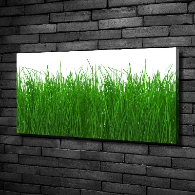 Cuadro canvas con impresión uv duradera horizontal Césped