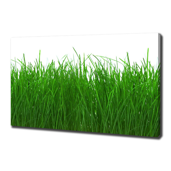 Cuadro canvas con impresión uv duradera horizontal Césped