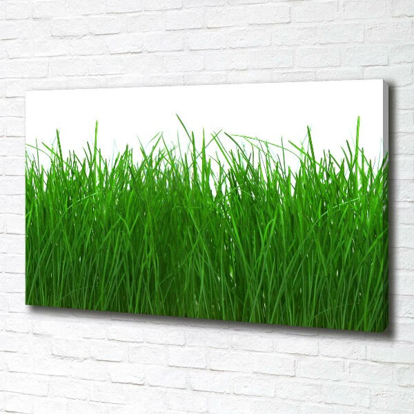 Cuadro canvas con impresión uv duradera horizontal Césped