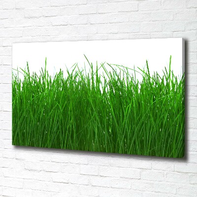 Cuadro canvas con impresión uv duradera horizontal Césped