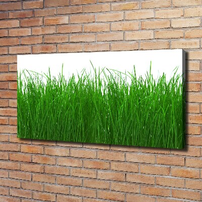 Cuadro canvas con impresión uv duradera horizontal Césped