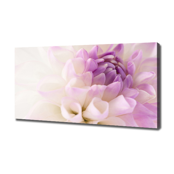 Fotocuadro en lienzo de alta calidad horizontal Dalia blanca