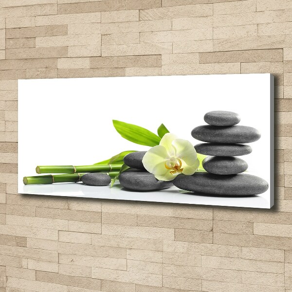Cuadro canvas con impresión uv duradera horizontal Orquídea
