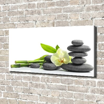 Cuadro canvas con impresión uv duradera horizontal Orquídea