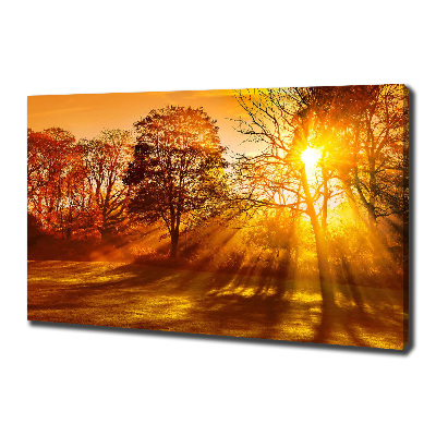 Cuadro canvas con impresión uv duradera horizontal Atardecer