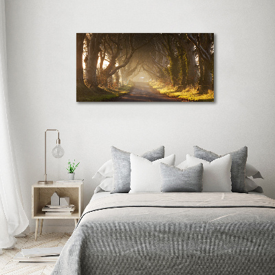 Cuadro canvas moderno de gran formato horizontal Niebla en el bosque