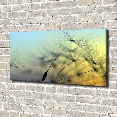 Fotocuadro en lienzo de alta calidad horizontal semillas de diente de león