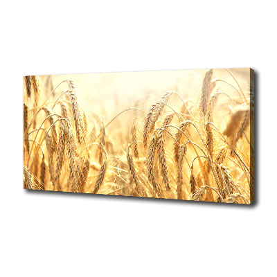 Cuadro canvas con impresión uv duradera horizontal Cereal